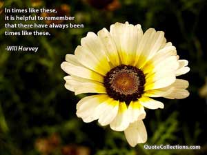 will_harvey_quotes Quotes 4